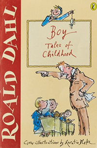 Image of Boys Tales of Childhood: Boy: Kisah Masa Kecil
