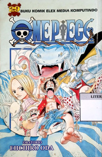 Image of One Piece Vol. 29