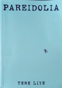 Image of Pareidolia